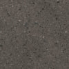 Saga Gray Saga Gray